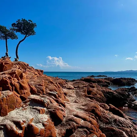 2-4 Pers Vue Proche Port Lejlighed *